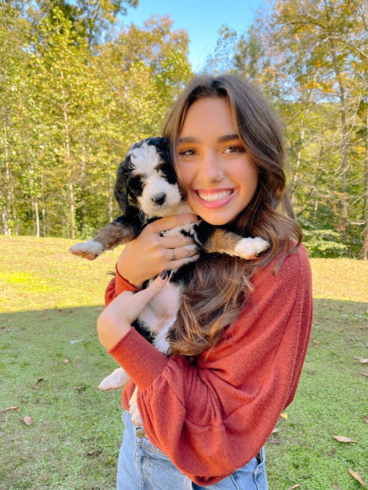 files/bernadoodle_puppy.jpg